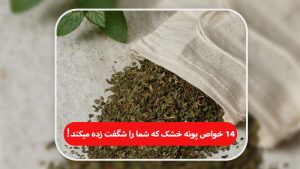 خواص پونه خشک