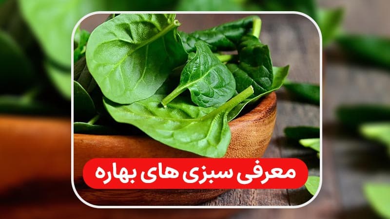 سبزی خوردن فصل بهار