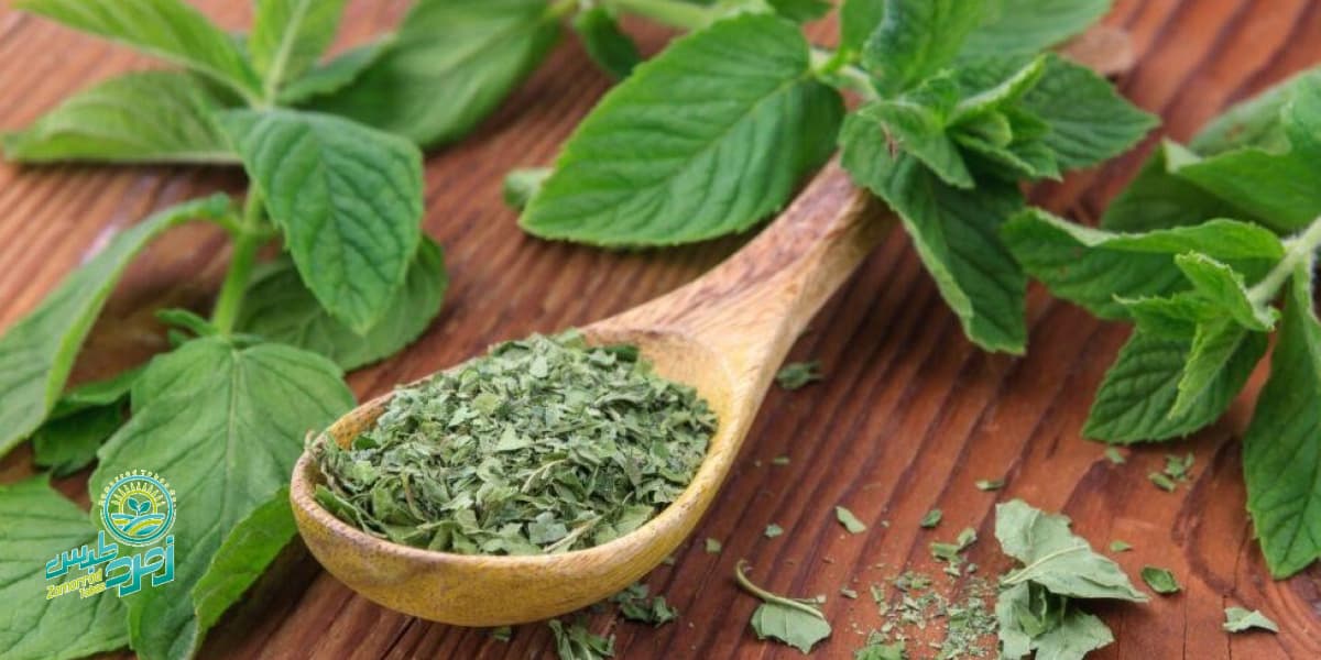 نعناع خشک سبزی بهاره