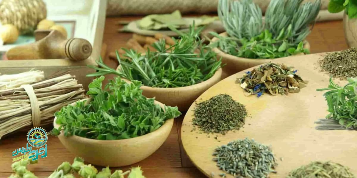 طرز استفاده از سبزی خشک 