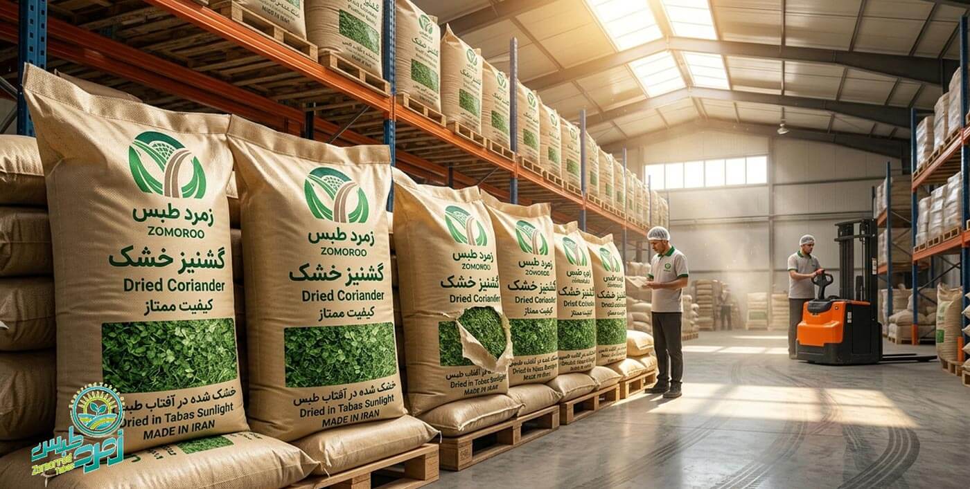 صادرات گشنیز خشک زمرد طبس