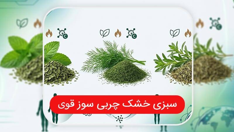 قوی ترین سشبزی چربی سوز برای بازارهای صادراتی